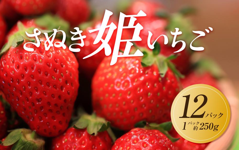 【2027年2月上旬より順次発送】さぬき姫いちご　12パック(1パック約250g)｜果物 くだもの フルーツ イチゴ いちご 苺 さぬきひめ 先行予約 人気 おすすめ ギフト 372013_GM006