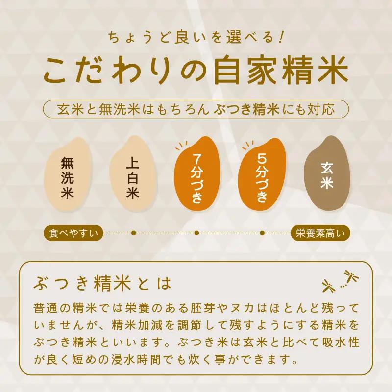 【先行予約】【令和8年産・新米】さんさん池見二代目が笑顔で育てたコシヒカリ 10kg ～福井県産 生産者直送！～（玄米）【2026年9月中旬以降順次発送予定】 [B-0224_04]