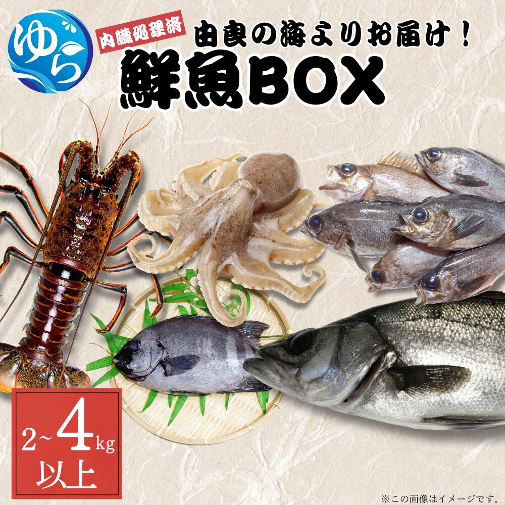 【ふるさと納税】＼レビューキャンペーン中／ 鮮魚BOX 内臓処理済み【容量が選べる】2kg 3kg 4kg（魚種おまかせ） / 魚 お魚 さかな 食品 海の幸 海鮮 カイセン 塩焼き 煮付け 内臓処理済み 冷蔵 海鮮類 焼き魚 タコ スズキ メバル 和歌山県 由良町