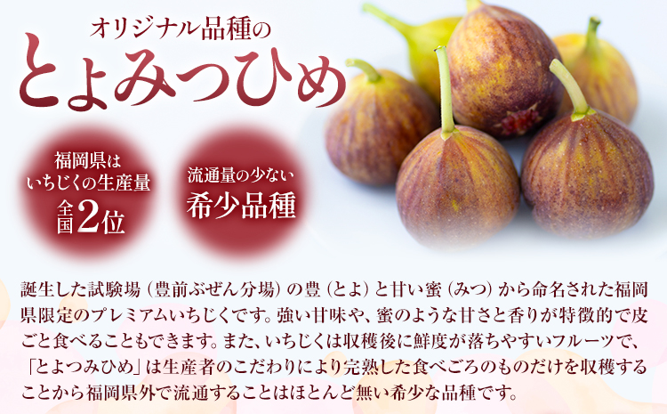 いちじく 無花果 とよみつひめ 約1.2kg 約300g × 4パック 南国フルーツ株式会社《8月上旬-10月末頃出荷》福岡県 鞍手町 福岡県産 いちじく フルーツ 果物---skr_cnngkt_a