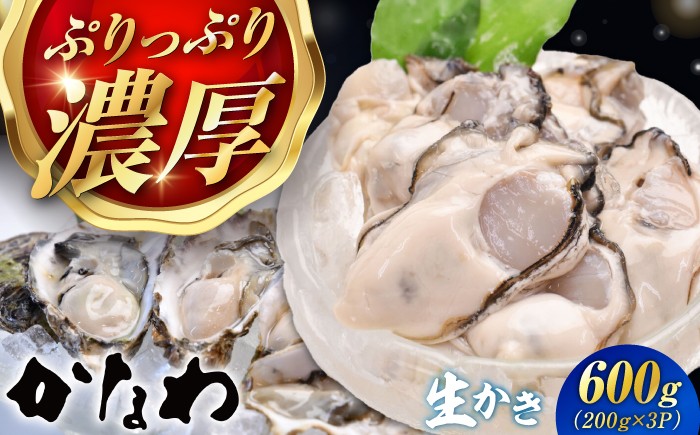 
                  【生牡蠣】 かなわの生牡蠣 むき身200g×3パック 計600g 江田島市／株式会社かなわ [XBP002]｜生牡蠣 牡蠣 生食 むき身 かき カキ 生牡蠣 広島牡蠣 オイスター 冬かき 魚介類 魚介 貝類 海鮮 広島県産 国産 産地直送 贈答 ギフト 特産品
                