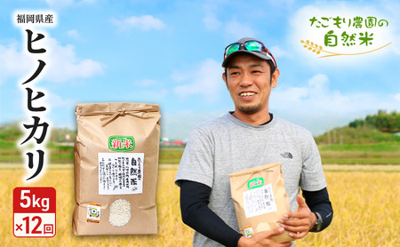 ヒノヒカリ 自然米 たごもり農園 農薬不使用 福岡県産 ヒノヒカリ【5kg】【定期便12回】