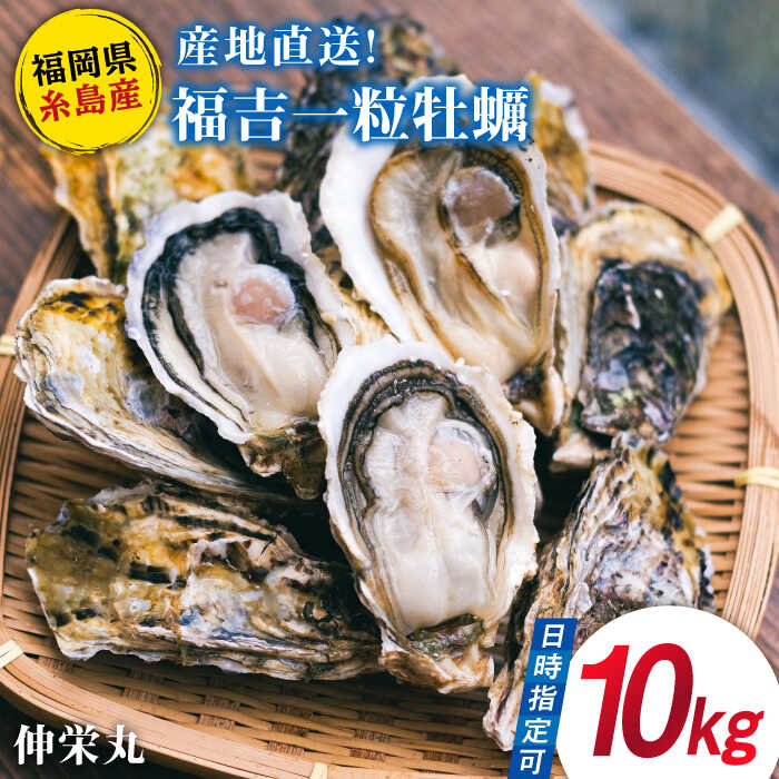 【ふるさと納税】【加熱用】一粒牡蠣 カキ 10kg (牡蠣ナイフ付き) 糸島産 福吉 糸島市/伸栄丸 カキの佐々木 牡蛎 かき [ATH004] 45000円 4万5千円