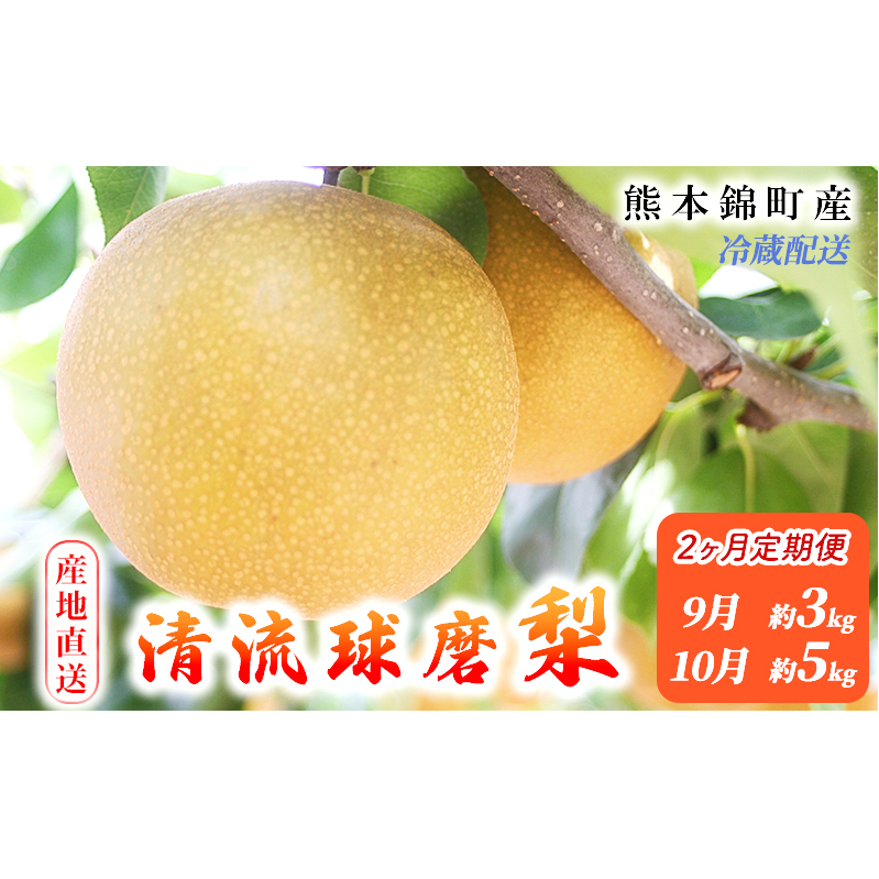 定期便 2回 先行予約 梨 清流錦 あきづき 9月 3kg 新興 10月 5kg フルーツ なし ナシ 果物 デザート 秋月 お楽しみ2026年発送 配送不可:離島 