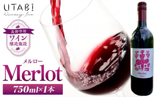 
                  Merlot メルロー （ワイン） | ワイン 赤ワイン ぶどう ブドウ 葡萄 人気 おすすめ ギフト プレゼント 送料無料 長野県 長野市 信州 信濃 ふるさと納税
                