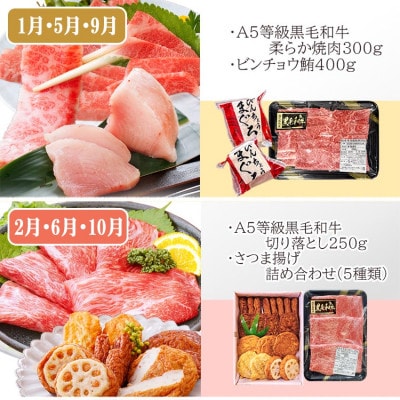 定期便(4回配送)黒毛和牛＆まぐろ・かつお・さつま揚げ EE-0046【配送不可地域：離島】