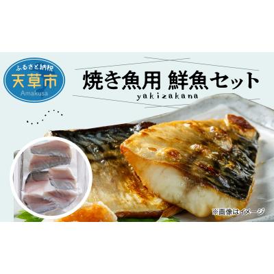 ふるさと納税 天草市 【指定日必須】焼き魚用　鮮魚セット_S121-001A