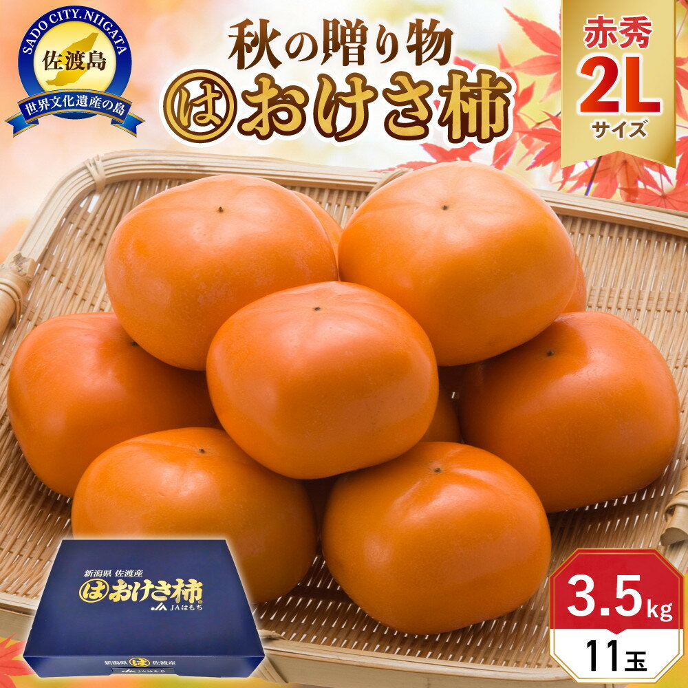 【ふるさと納税】先行予約 柿 おけさ柿 高級 赤秀 2Lサイズ 11玉 種なし 化粧箱入 | フルーツ 果物 くだもの 食品 人気 おすすめ 送料無料