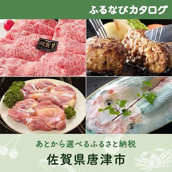 【有効期限なし！後からゆっくり特産品を選べる】佐賀県唐津市カタログポイント