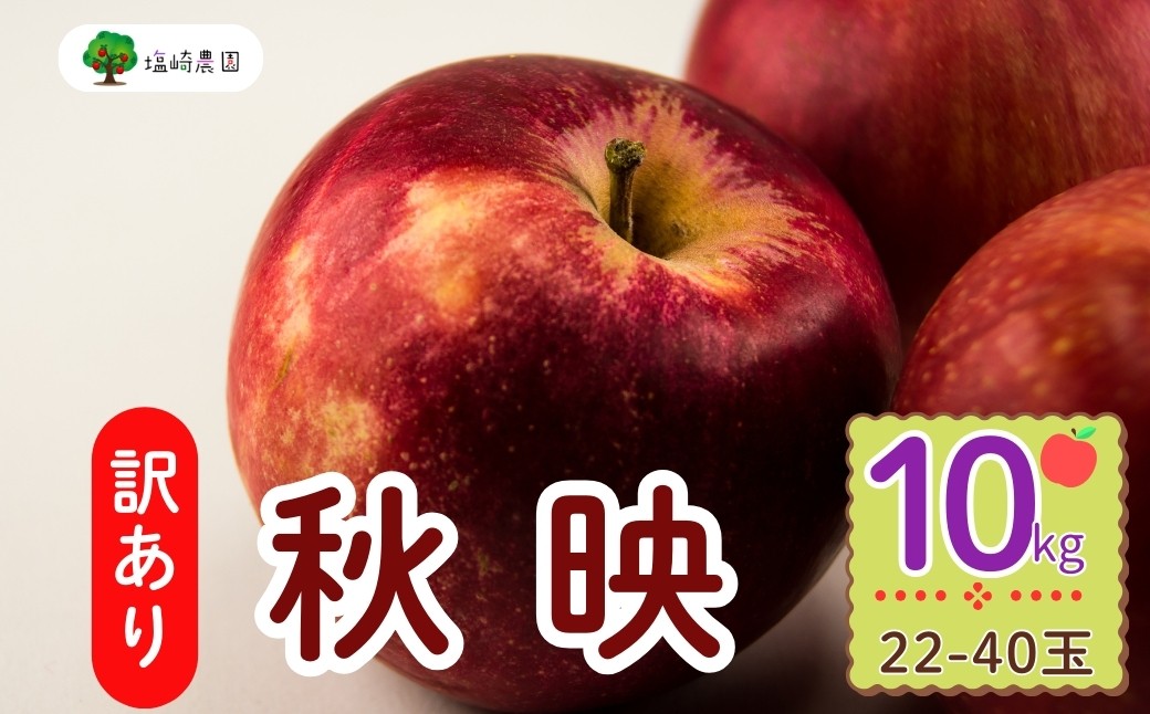 
            【先行予約】【訳あり】秋映（あきばえ）【約10kg(22〜40玉)】規格外 (7-A26-3)
          