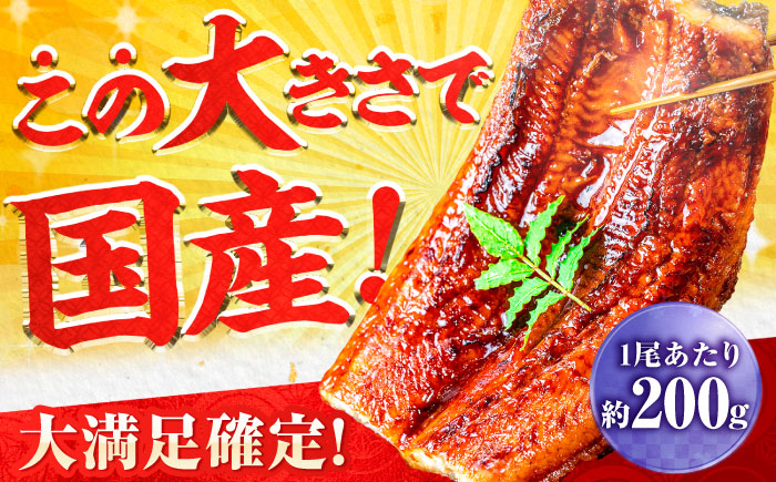 【全3回定期便】国産！九州仕立ての特大うなぎ蒲焼 計400g（200g×2尾）吉野ヶ里町/株式会社フジマキ うなぎ ウナギ 国産 [FDM008]