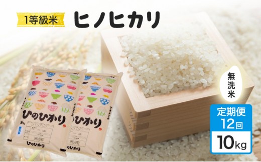 
            定期便 12回 米 1粒からこだわる 1等級米 ヒノヒカリ 無洗米 10kg お米 コメ お楽しみ 12ヶ月 令和7年度産
          