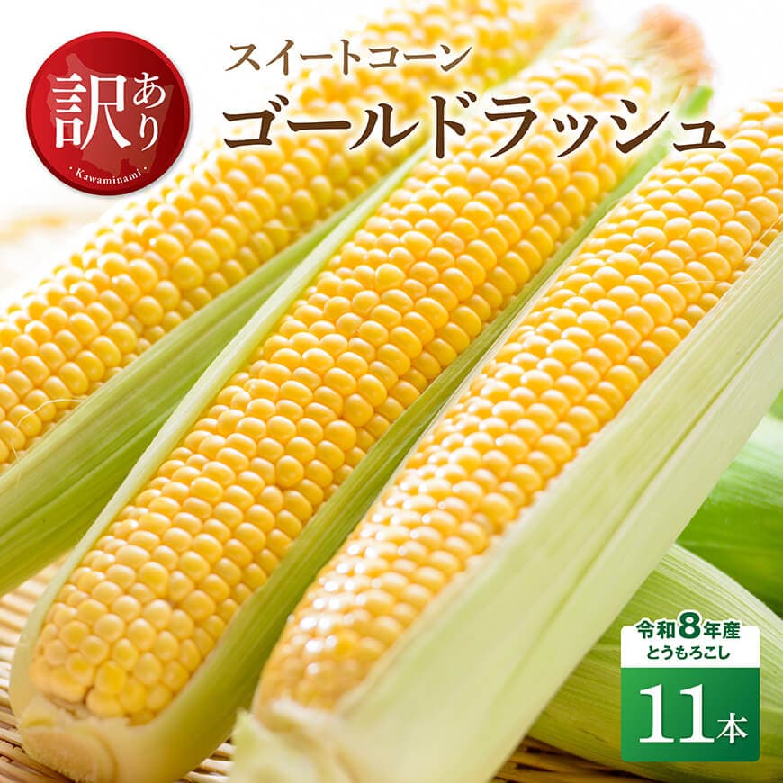 【ふるさと納税】※レビューキャンペーン※【訳あり】令和8年産とうもろこし　スイートコーン「ゴールドラッシュ」11本 - とうもろこし とうきび トウモロコシ 先行予約 朝どれ 野菜 宮崎県産 川南町産 国産 新鮮 農家直送 産地直送 季節限定 送料無料 宮崎県川南町C09101