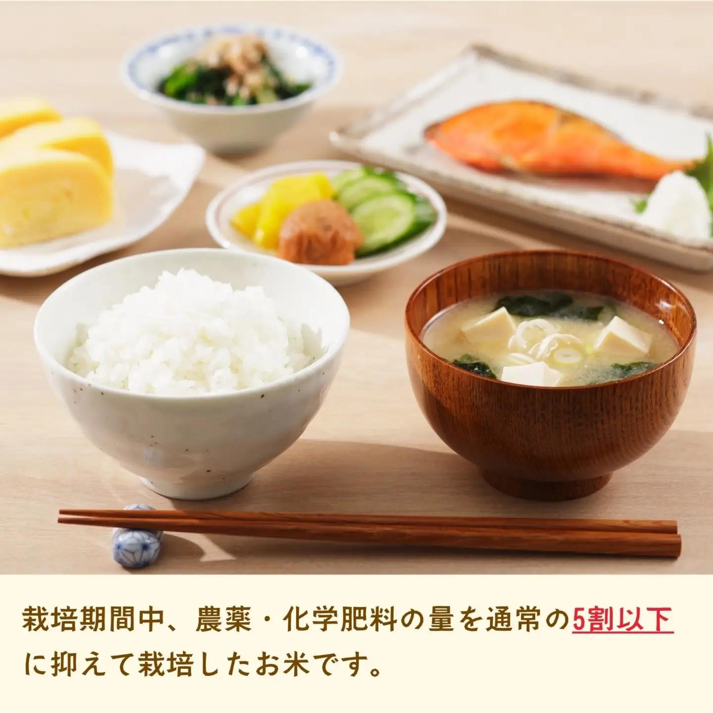 【令和7年産米】沼田さんちの満点 こしひかり 精米 5kg | お米 米 コメ ご飯 ごはん 白米 コシヒカリ 美味しい オススメ 長野県 飯山市 特A (7-57B)