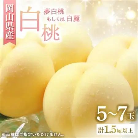 ◆先行受付◆　岡山県産　岡山白桃5～7玉(2)　2027年発送【配送不可地域：離島・北海道・沖縄県】【1349775】