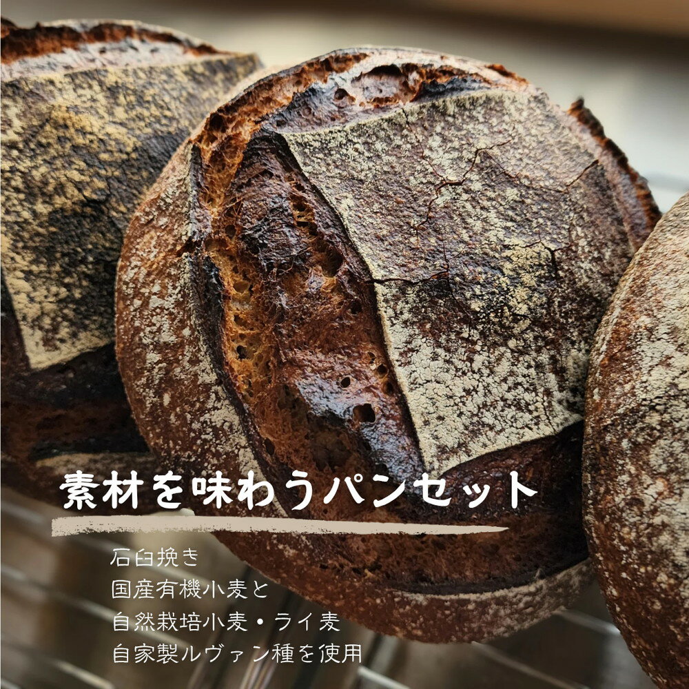 【ふるさと納税】 【国産有機小麦と自然栽培小麦・ライ麦使用】素材を味わうパンセット ／ パン 国産小麦 自然栽培 小麦 ライ麦 天然酵母 ルヴァン種 国産素材 自家製粉 自家製ルヴァン種 パンセット 詰め合わせ 食べ比べ お取り寄せグルメ 送料無料 大阪府 No.348