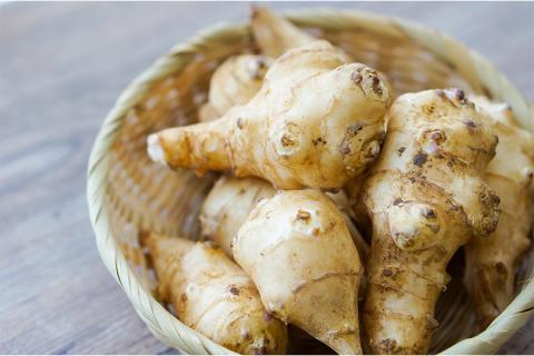 【児玉酒店】菊芋 きくいも キクイモ 乾燥 地熱 粉末 パウダー 栄養 小国 阿蘇 熊本 習慣 野菜 手軽に摂取 食物繊維 イヌリン キクイモオリゴ糖 お取り寄せ 贈答 ギフト