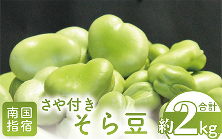 2026年1月中旬～発送 さや付きそら豆約2kg～冬～ アグリスタイル A-206 野菜 そらまめ ソラマメ サラダ 旬 冬 おつまみ