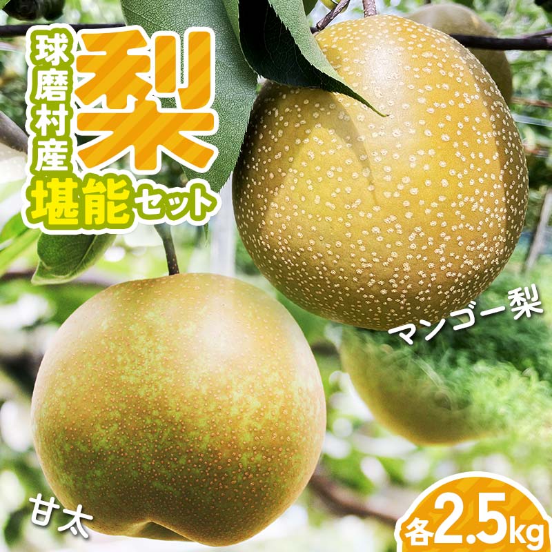 【ふるさと納税】【先行予約】球磨村産梨　堪能セット（極あまっ！甘太＆マンゴー梨　各2.5kg） マンゴー梨 極あま セット 果物 フルーツ FKPZ-01