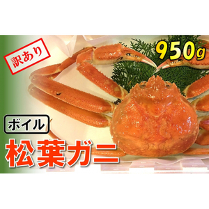 【1537】【魚倉】足1本なしボイル松葉ガニ(特大950g)訳あり