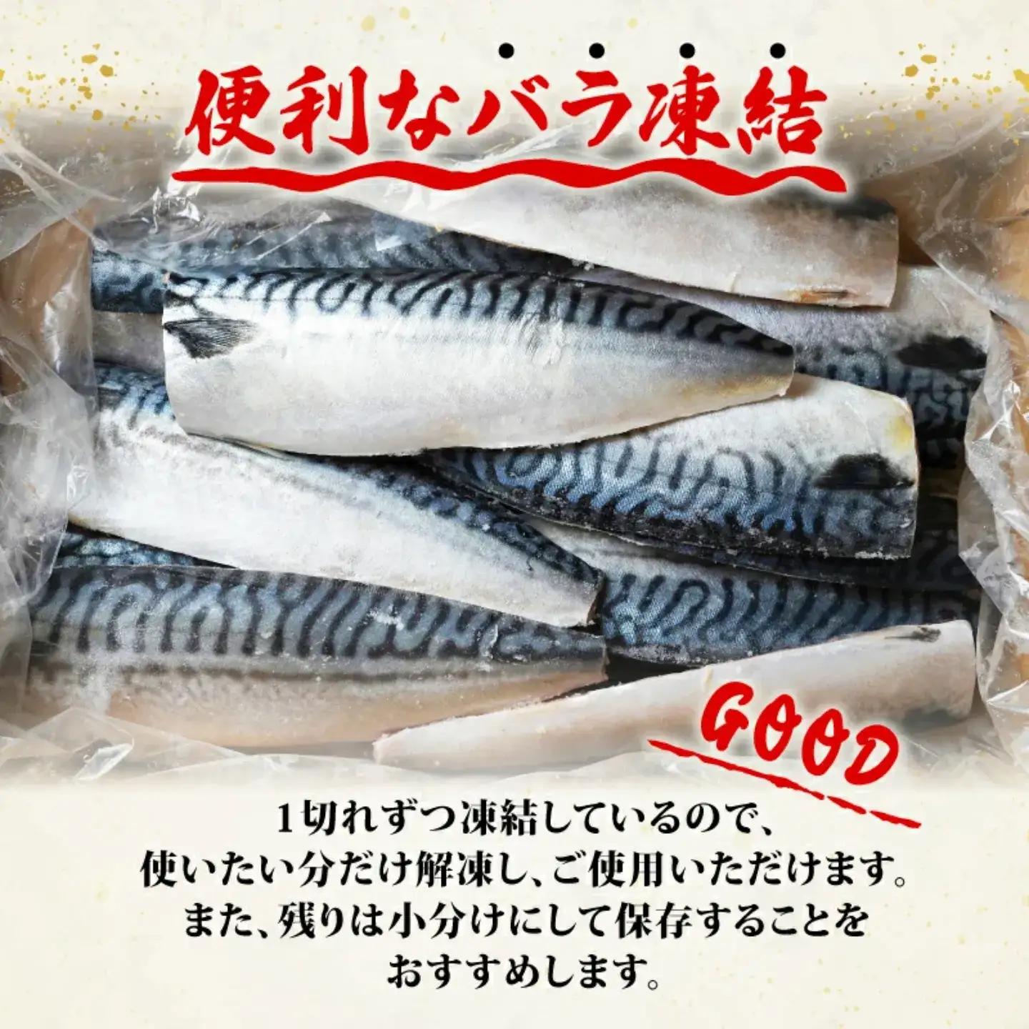 訳あり 塩鯖 3.6kg 鯖