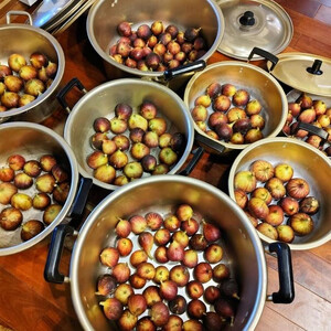 【母の日ギフト】ヘブンリーフルーツケーキ 1本 | 母の日