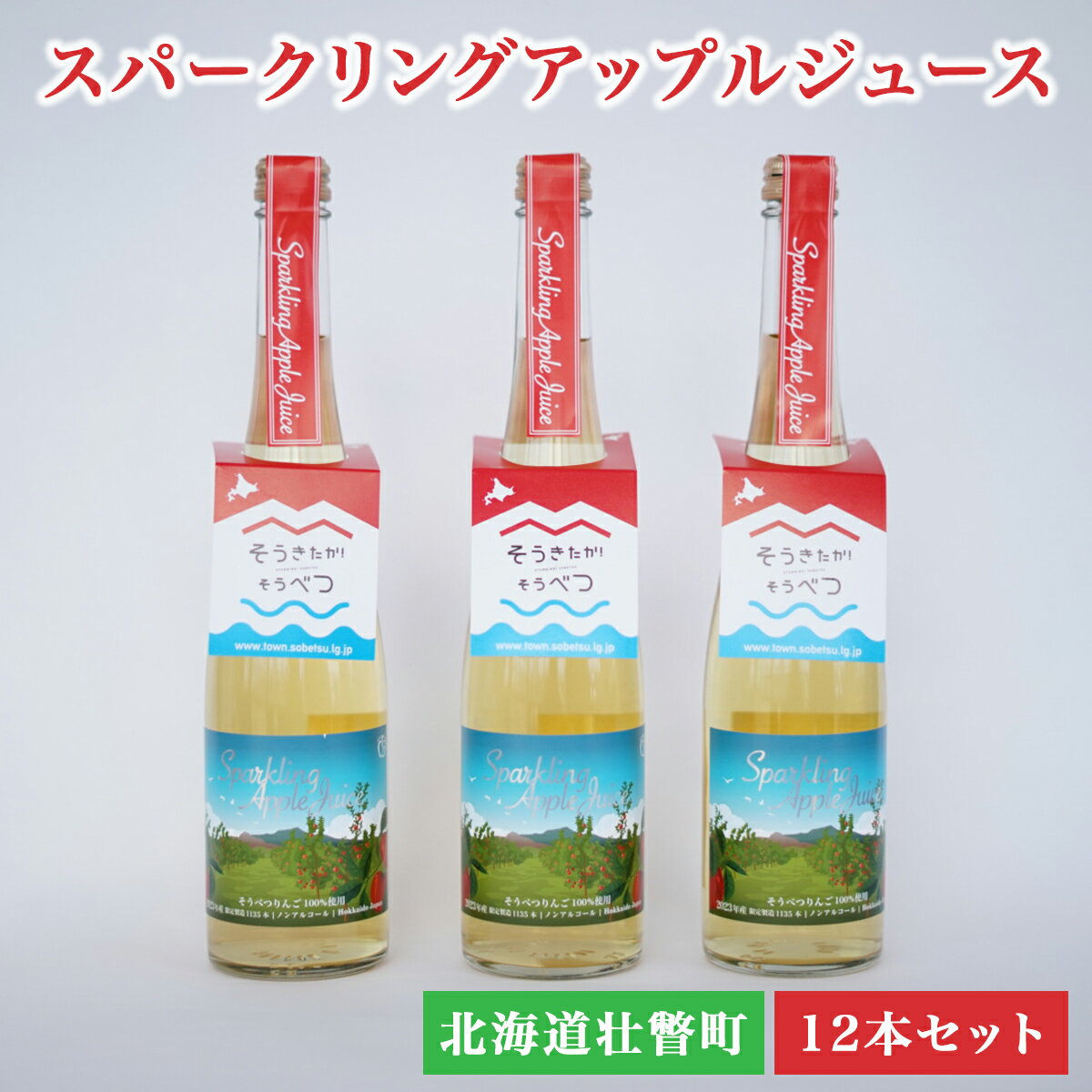 【ふるさと納税】スパークリングアップルジュース12本セット 【 ふるさと納税 人気 おすすめ ランキング 北海道 壮瞥 りんご アップル ジュース スパークリング 果汁 100％ 炭酸 飲料水 飲み物 贈り物 贈物 贈答 ギフト 大容量 詰合せ 北海道 壮瞥町 送料無料 】 SBTA020