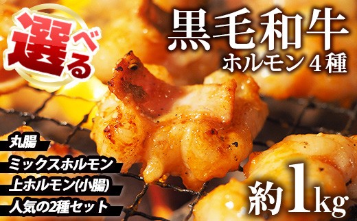 
                  No.1001 ＜4種から選べる＞国産！黒毛和牛ホルモン(ミックスホルモン計1kg/上ホルモン計1kg/丸腸計1kg/ミックスホルモン＋小腸合計1.1kg)  国産 九州産 牛肉 黒毛和牛 和牛 ホルモン 焼肉 鉄板焼き もつ鍋 タレ漬け 冷凍 小分け 寄附額改定【LRプラスK】
                