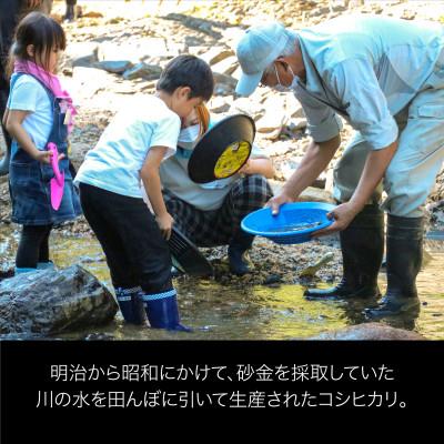 ふるさと納税 関川村 秘境の地で生産 砂金米 こがねもち精米2kg |  | 01