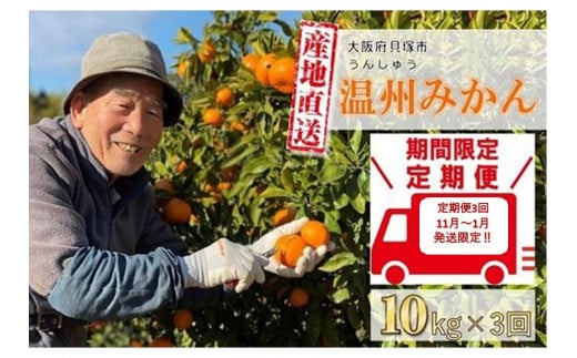 
            【定期便3回】11月～1月発送限定！貝塚市産 温州みかん10kg×3回
          
