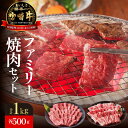 【ふるさと納税】牛肉 宮崎牛 宮崎ブランドポーク 各500g 計1kg 焼肉 セット バーベキュー 国産 冷凍 送料無料