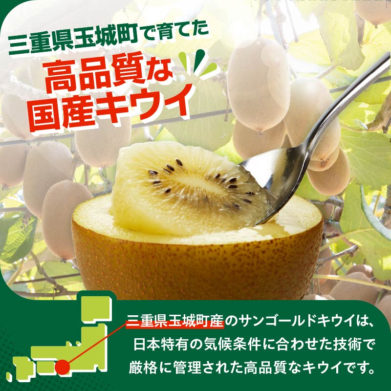 【先行予約】2026年度発送 三重県玉城町産 ゼスプリ サンゴールドキウイ 約1kg