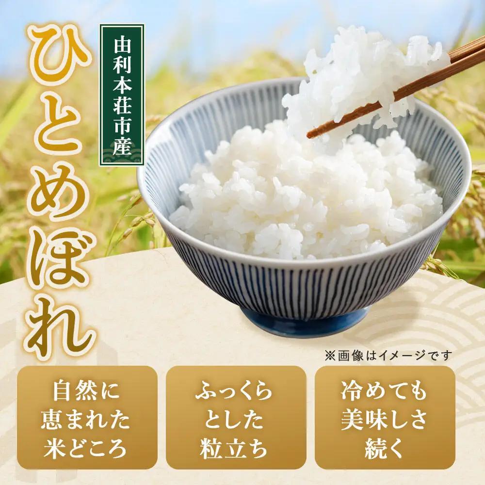 《新米予約》《定期便10ヶ月》令和8年産【白米】特別栽培米 ひとめぼれ 5kg 秋田県産 [ひとめぼれ 米 お米 白米 精米 特別栽培米 ブランド米 食卓 秋田県産 秋田県 由利本荘市]