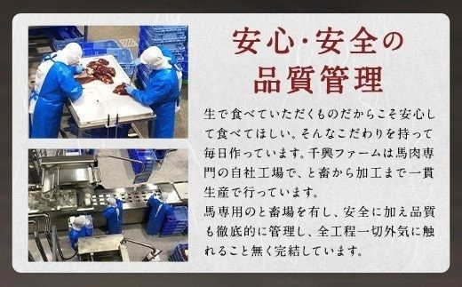 6種馬肉バラエティ 約520g (赤身切り落とし・コウネ・フタエゴダイス・線切り(ユッケ)・桜うまトロ・馬肉ハンバーグ)