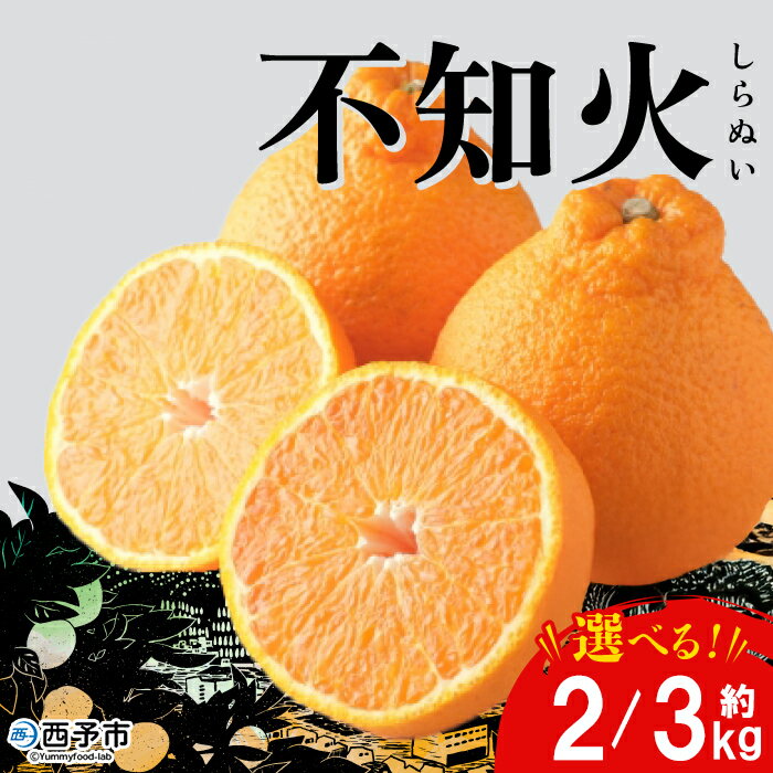 【ふるさと納税】＜おはこやがつくる おはこデコ（不知火）約2/3kg（L～3Lサイズ）＞ 果物 くだもの フルーツ 柑橘 蜜柑 ミカン しらぬい シラヌイ みかん 特産品 西宇和 おはこや 愛媛県 西予市 【常温】『2026年2月上旬から2月下旬迄に順次出荷予定』