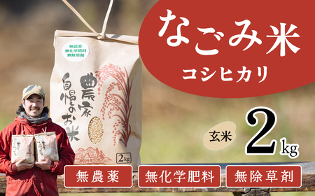 茨城県下妻市産 なごみ米（コシヒカリ） 玄米 2kg　【お米 コシヒカリ 米 無農薬 無化学肥料 無除草剤 玄米 ブランド米 茨城県産】
