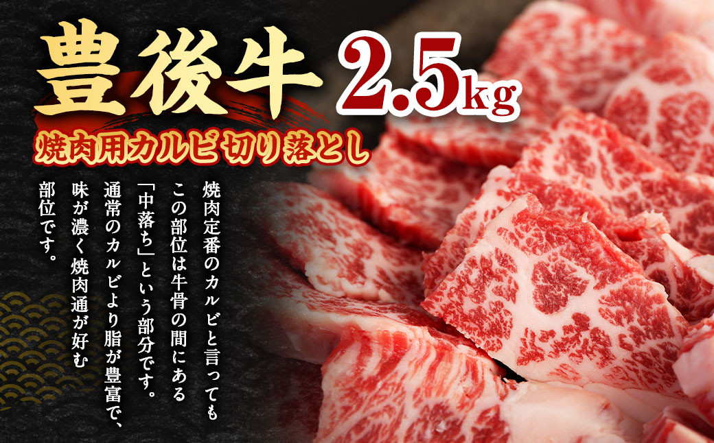 【大分県産】 豊後牛 焼肉用 カルビ 切り落とし 約2.5kg (約500g×5パック) 