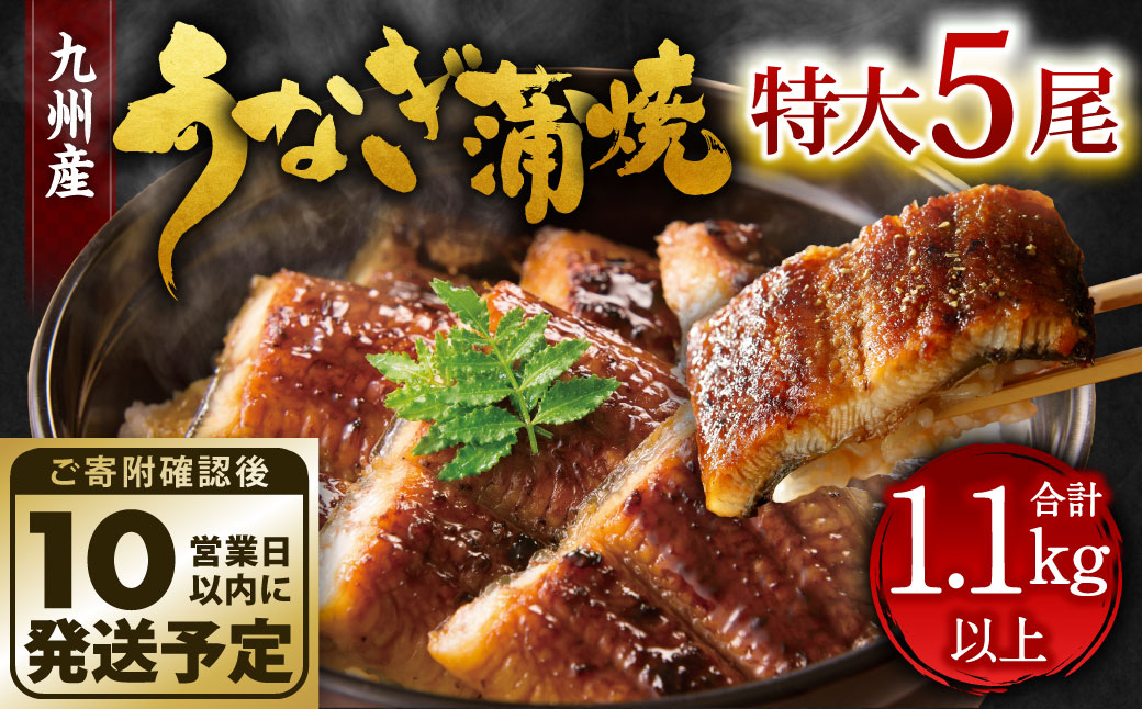 【年内配送】九州産 うなぎ 蒲焼 特大 5尾 計1.1kg以上 (1尾あたり220～235g)