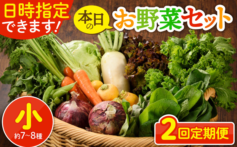 
            【2回定期便】日時指定OK！本日のお野菜セット 〈小サイズ/約7-8種〉1～2人用 新鮮 産地直送 野菜詰め合わせ 有機栽培 野菜 果物 野菜セット 野菜定期便 送料無料 【オーガニックのまち 宮崎県綾町】
          