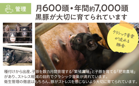 【 期間限定 生活応援 】 鹿児島県産 黒豚ロース しゃぶしゃぶ 500g、ロース とんかつ 4枚 KN054-020-cp 国産 黒豚 豚肉 豚 ロース 豚カツ 小分け 冷凍 お肉 スライス 薄切り