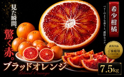 ＜深紅の一果 愛媛県産ブラッドオレンジ 合計約7.5kg＞『2027年2月中旬～4月上旬迄に順次出荷予定』 訳あり ミカン 蜜柑 ご家庭用 果汁 果物 くだもの フルーツ オレンジ 柑橘 人気柑橘 特産品 極尽道 愛媛県 西予市 【常温】