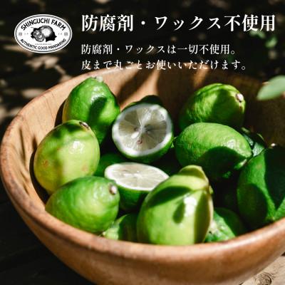 ふるさと納税 八幡浜市 【皮ごと食べられる】瀬戸内グリーンレモン 5kg 防腐剤・ワックス不使用【D70-48】 |  | 01