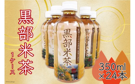 
                  玄米茶 黒部米茶 350ml×24本 お茶 米茶 1ケース /黒部市農業協同組合/富山県 黒部市 飲料 飲料類 
                