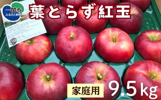 【先行予約】葉とらず紅玉 9.5kg 家庭用