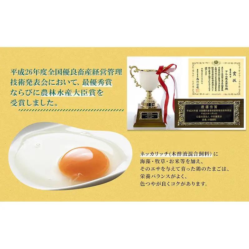 卵【3回 定期便】 赤玉 ネッカリッチ卵 50個入り 鶏卵 たまご