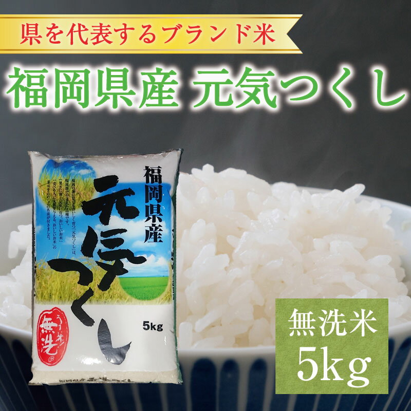 【ふるさと納税】令和6年産 福岡県産元気つくし無洗米5kg(5kg×1) [a7196] 株式会社 藤食糧 【返礼品】添田町 ふるさと納税
