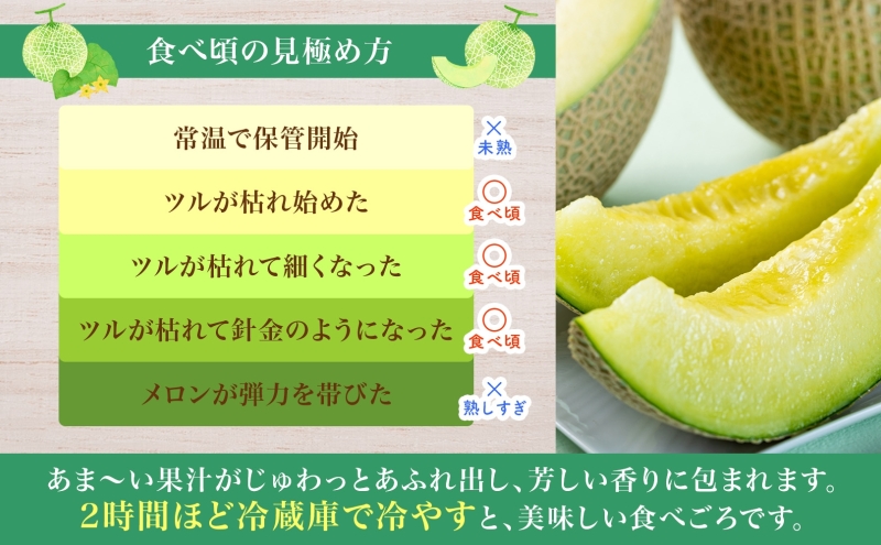 【2026年夏発送】北海道 青肉メロン 月雫 秀品 2玉 約1.6kg 計