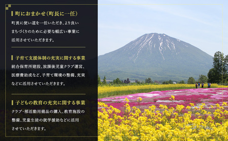 倶知安町 寄附のみの応援受付 70,000円コース（返礼品なし 寄附のみ 70000円）