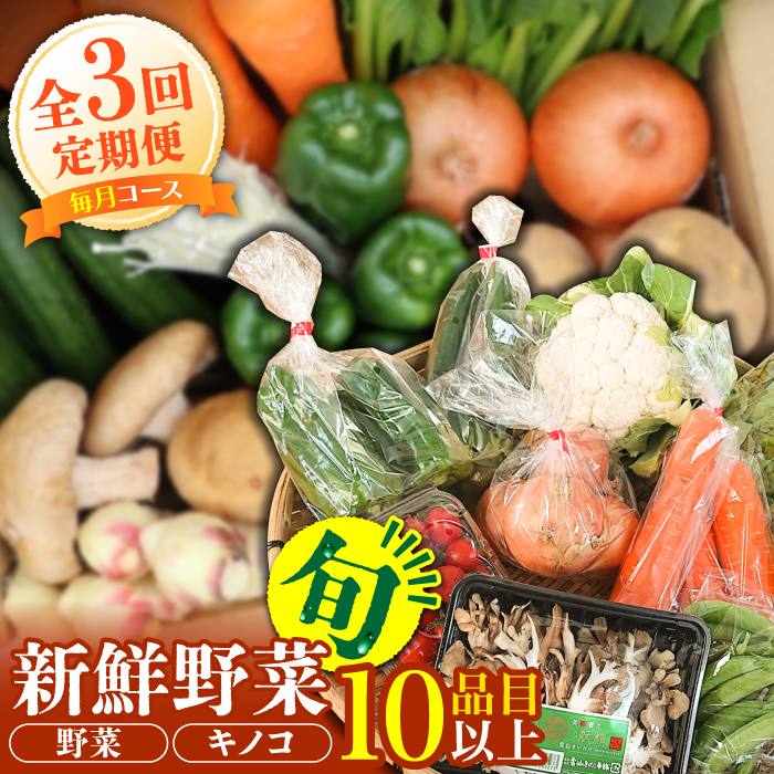 【毎月コース】野菜 キノコ 10品目以上 詰め合わせ 3回定期便 / 野菜定期便 やさい定期便 きのこ セット 定期便 / 南島原市 / 吉岡青果 [SCZ022]