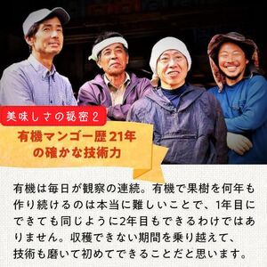 DQ021《先行予約》2026年発送 有機JAS認証マンゴー（アーウィン）わけあり 2.5kg【楽園の果実】